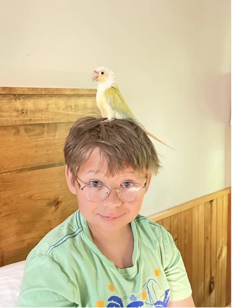 Misha the Bird Nerd with Luntik the Moon Cheek Conure on his head